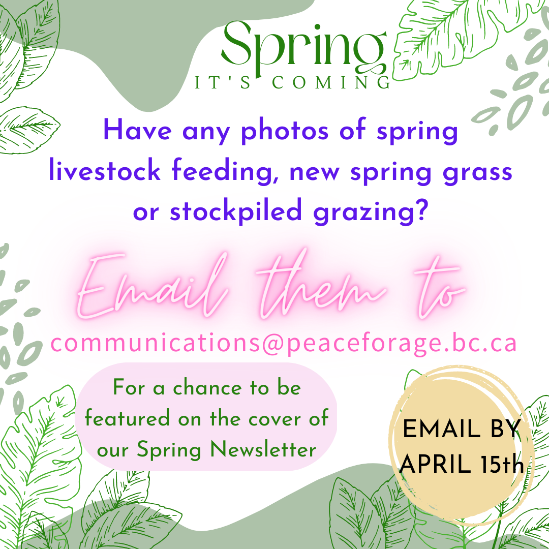Enter photos for our Spring Newsletter cover - Peace River Forage ...